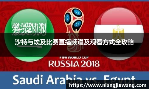 沙特与埃及比赛直播频道及观看方式全攻略